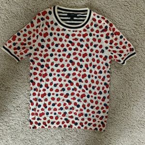 J crew berry sweater tee